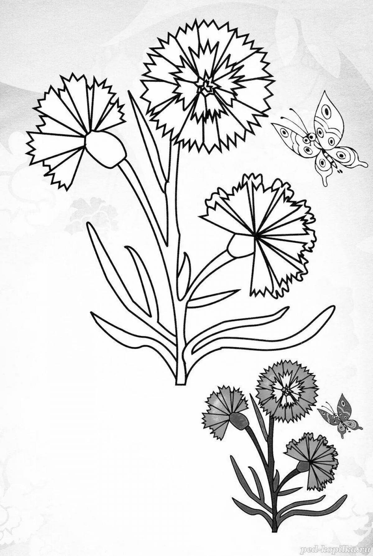 Sparkling cornflower coloring book for little ones