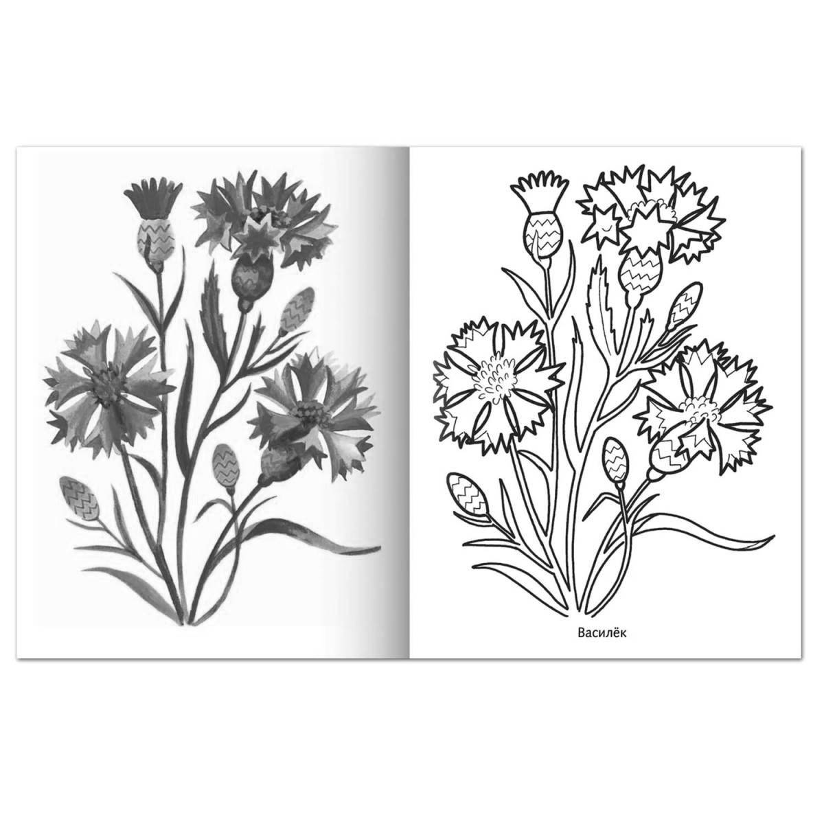 Great cornflower coloring book for kids