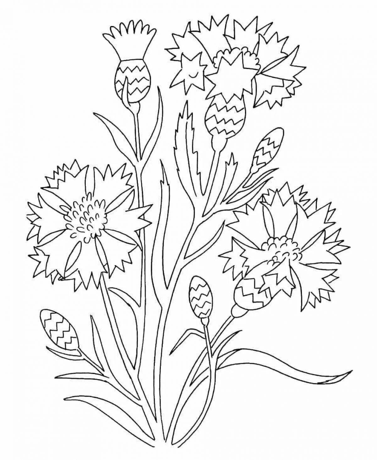 Cheerful cornflower coloring for juniors