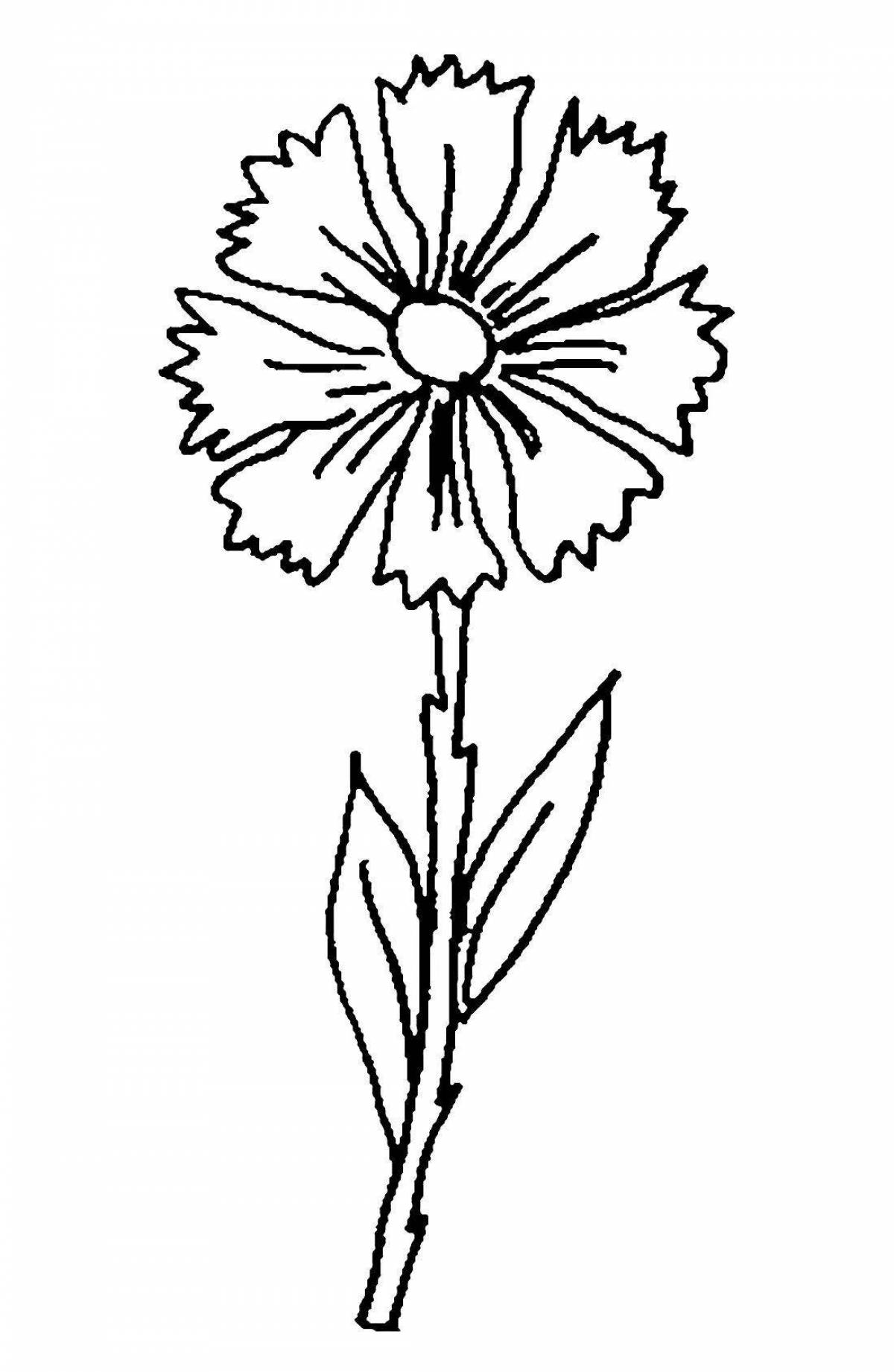 Exciting cornflower coloring book for kids