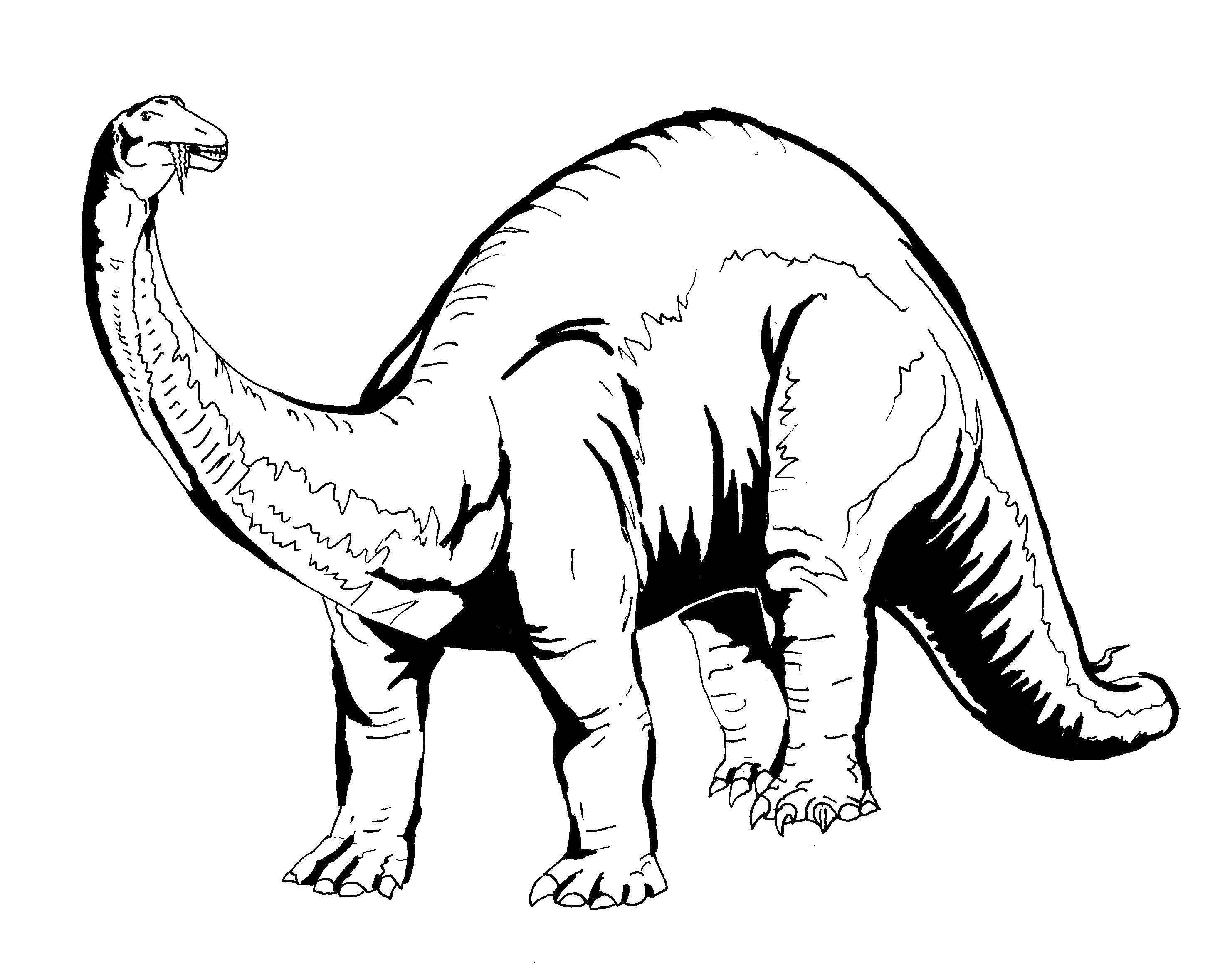 Intricate diplodocus coloring page