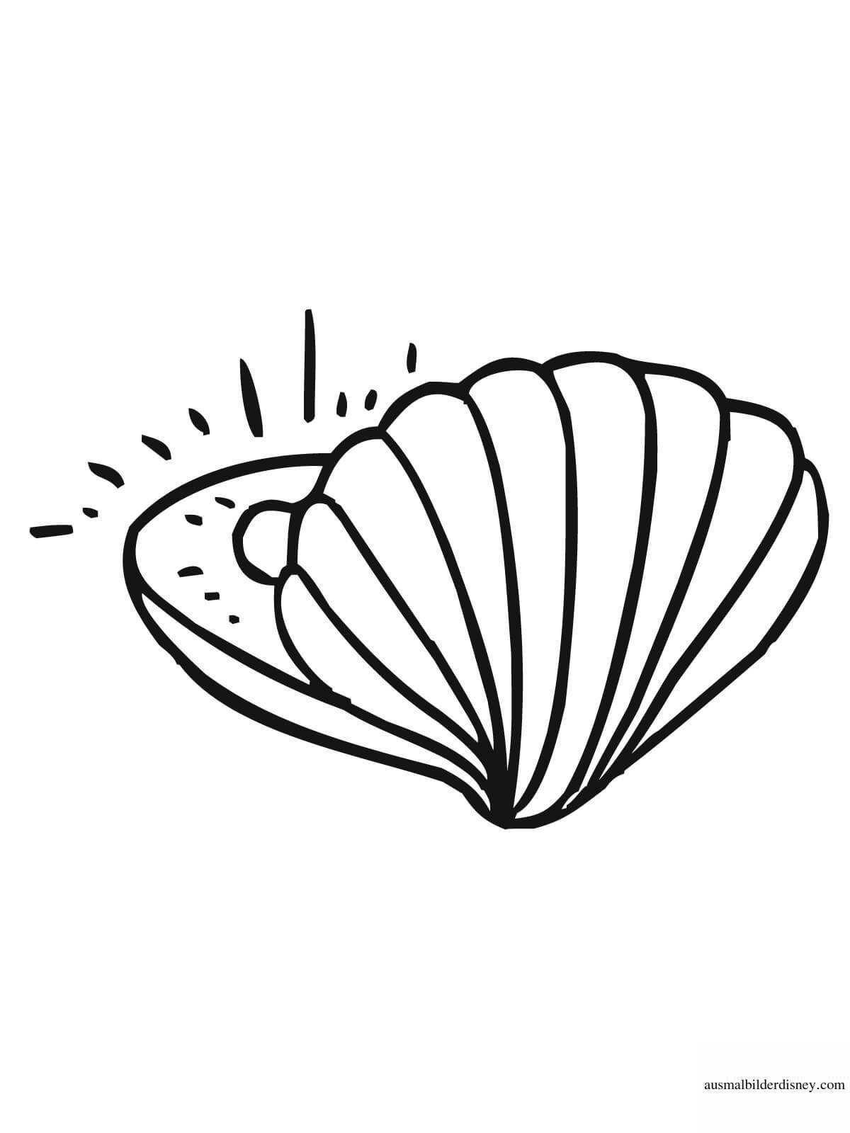 Radiant coloring page shell с жемчугом
