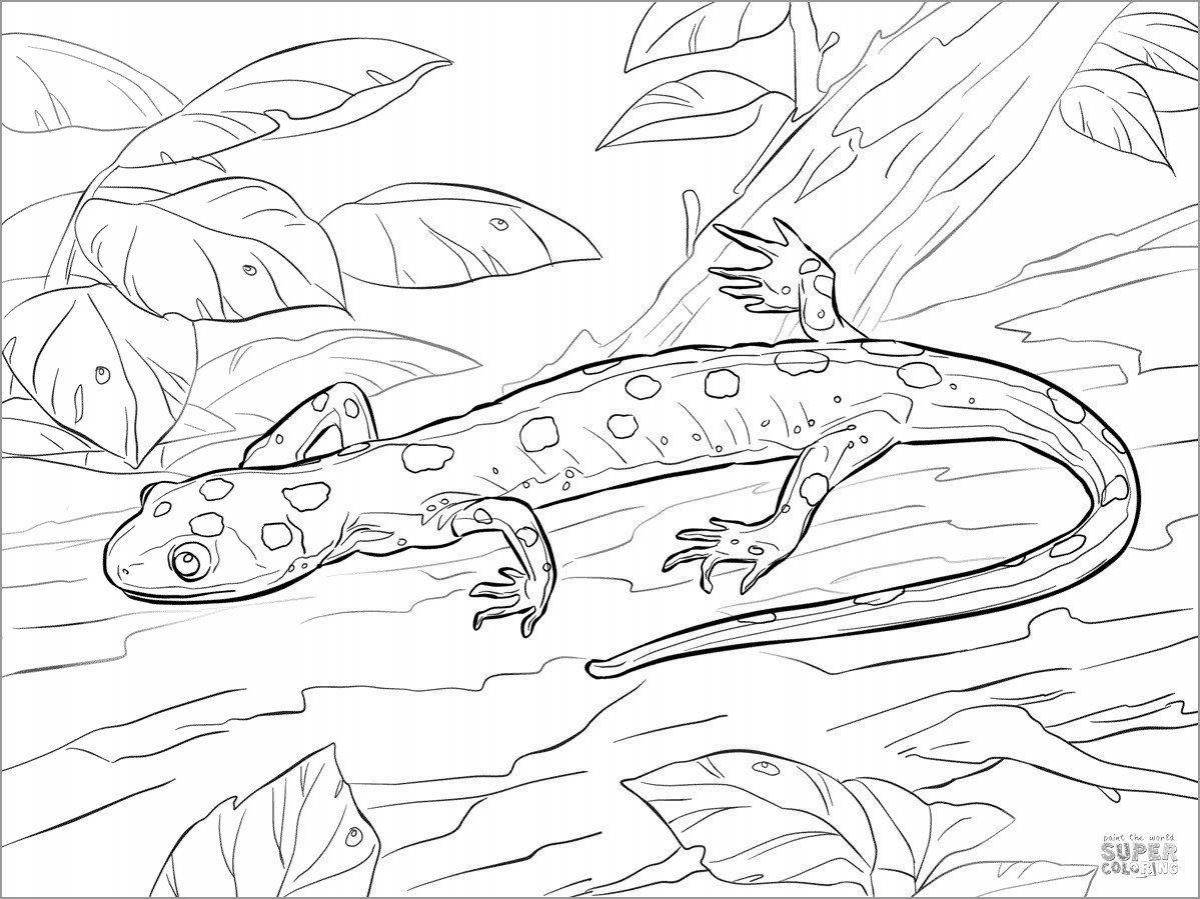 Раскраска забавный тритон