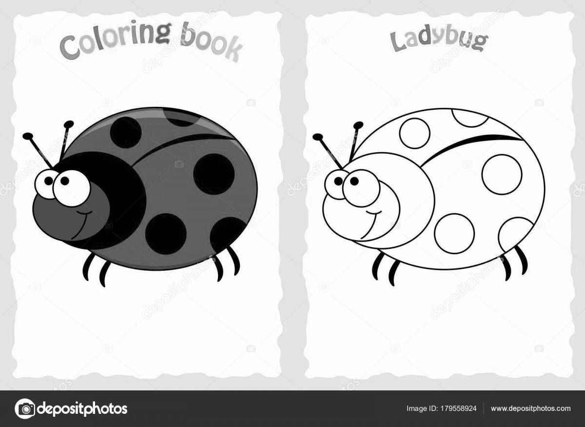 Charming ladybug coloring book