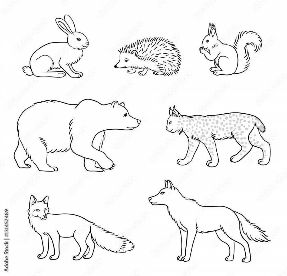 Coloring pages wild animals