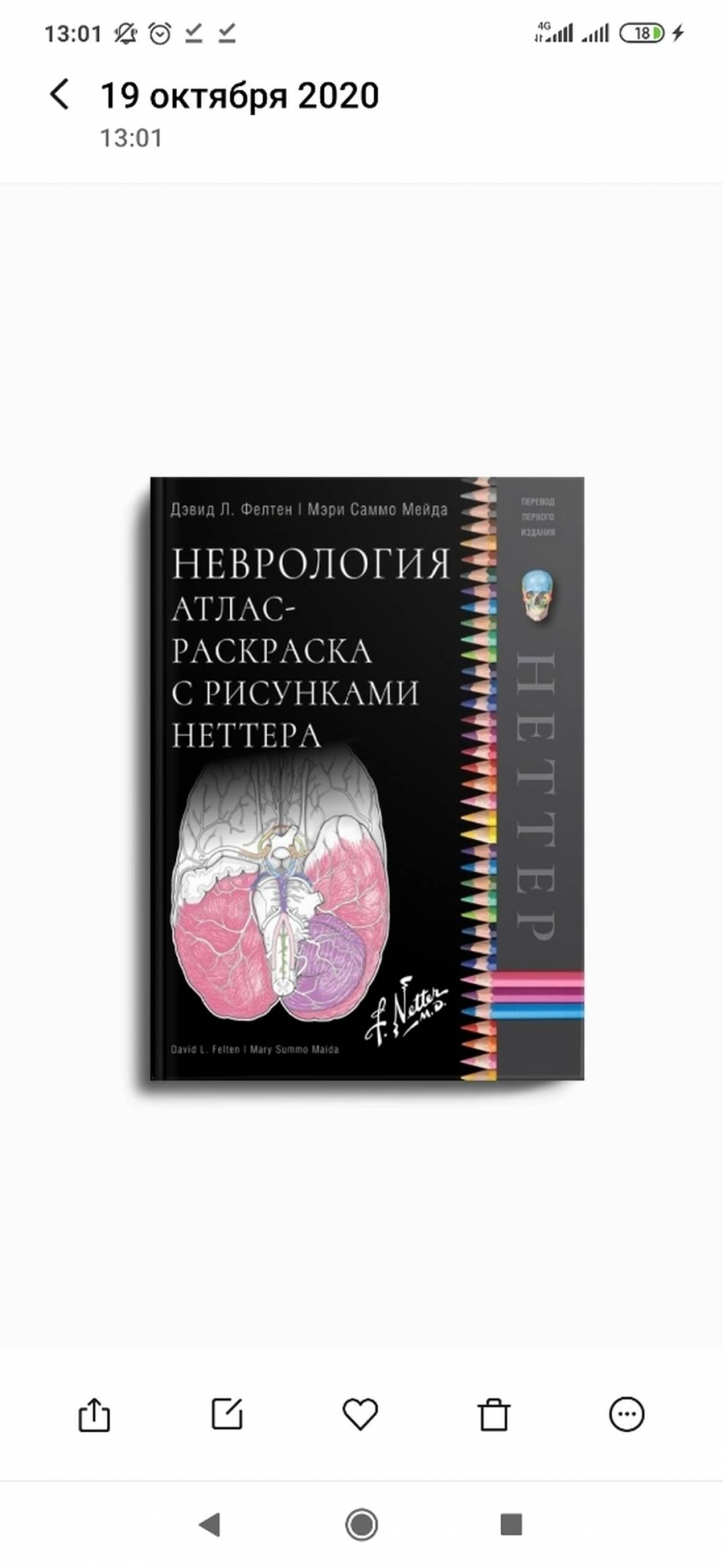 Неттер атлас неврологии. Неврология. Атлас-раскраска с рисунками Неттера. Цветной атлас по неврологии Райнхард. Гастроэнтерология с иллюстрациями Неттера. Атлас раскраска неттера