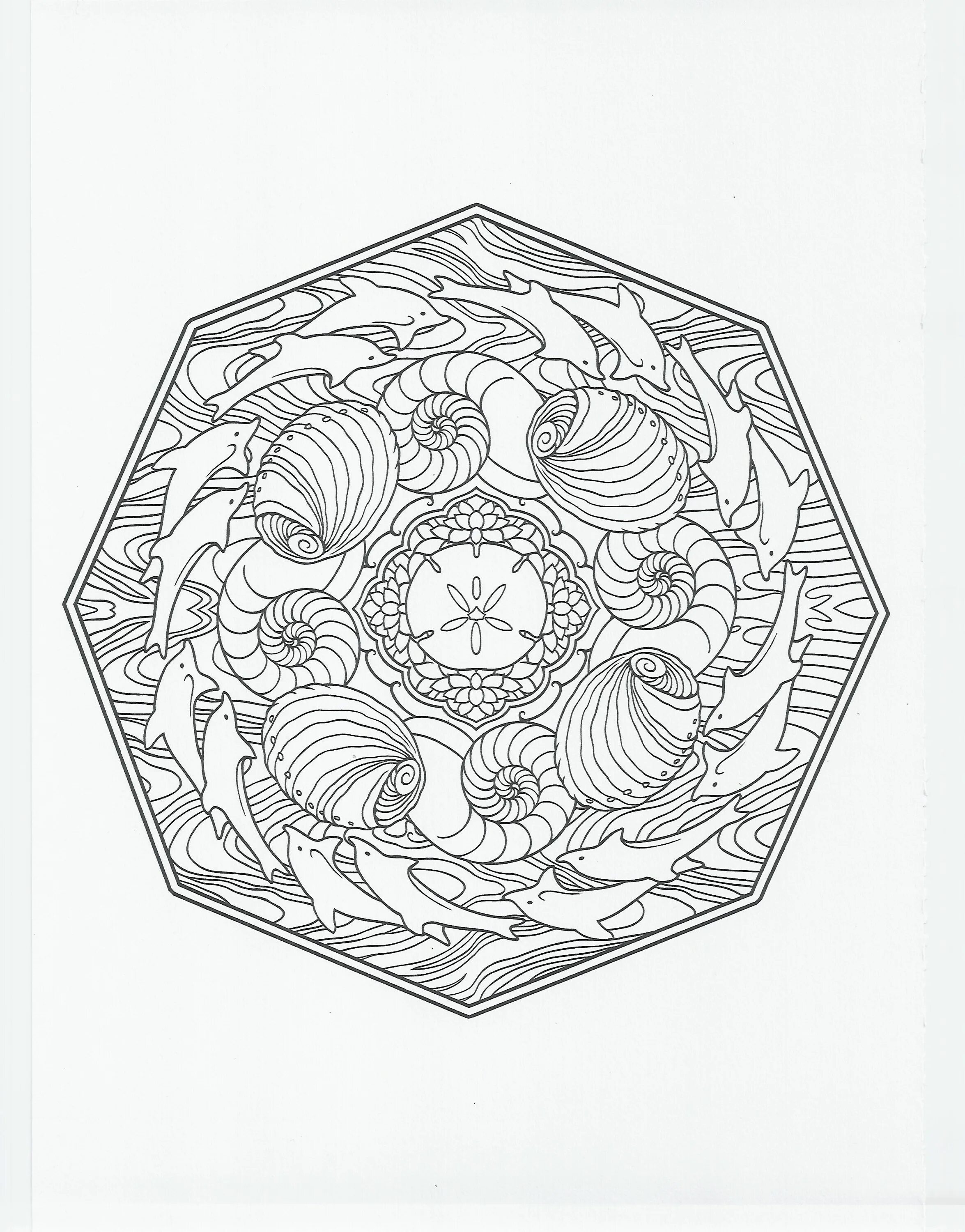 Brilliant alexandr tyurin coloring