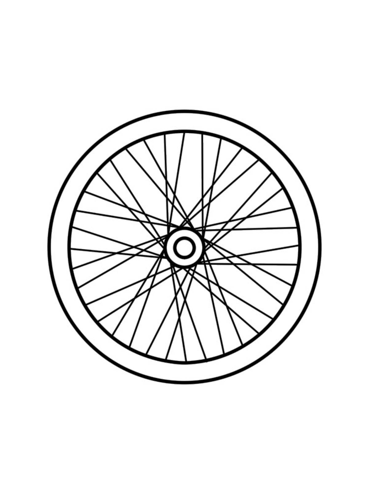 Колесо 12 спиц рисунок