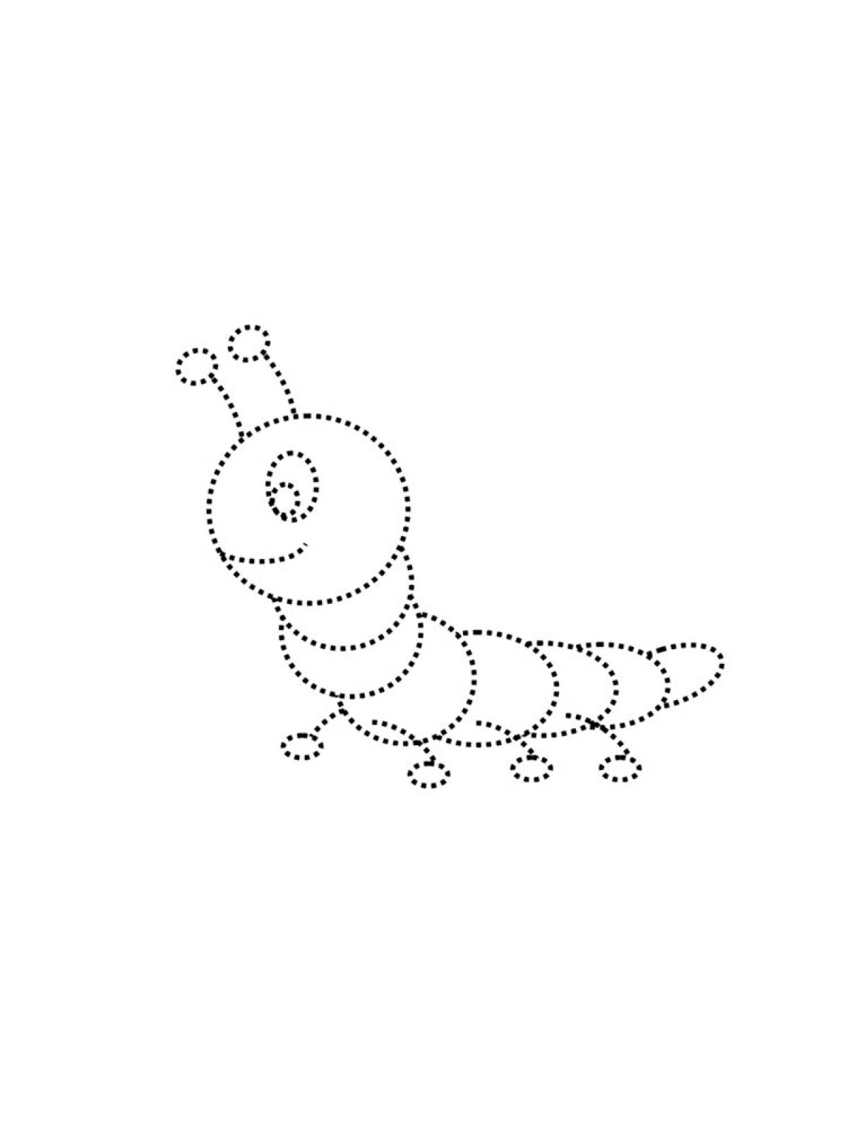 По точкам 26