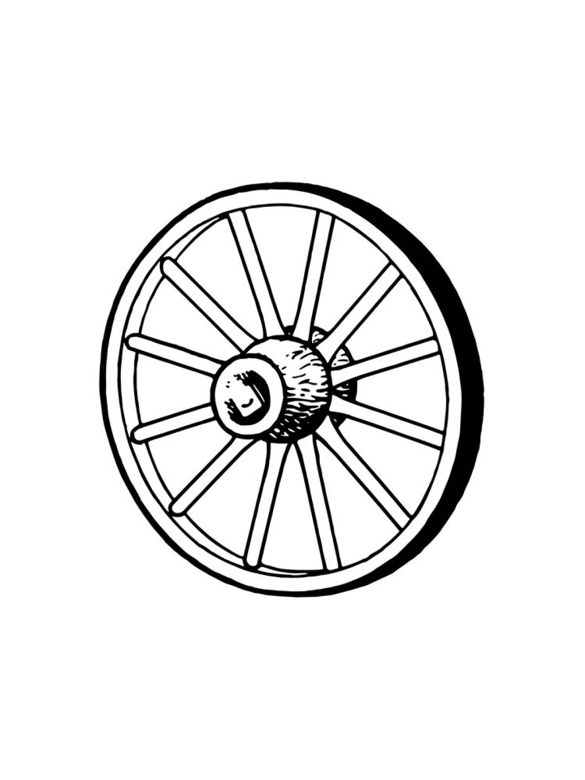 Wheel 8