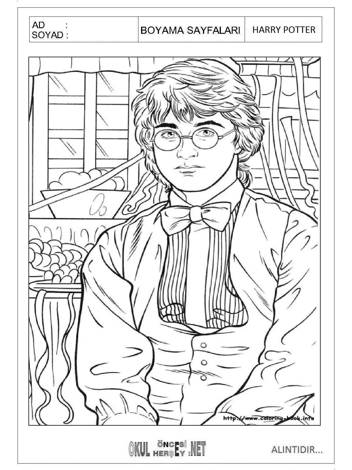 Attractive harry potter spiral coloring book