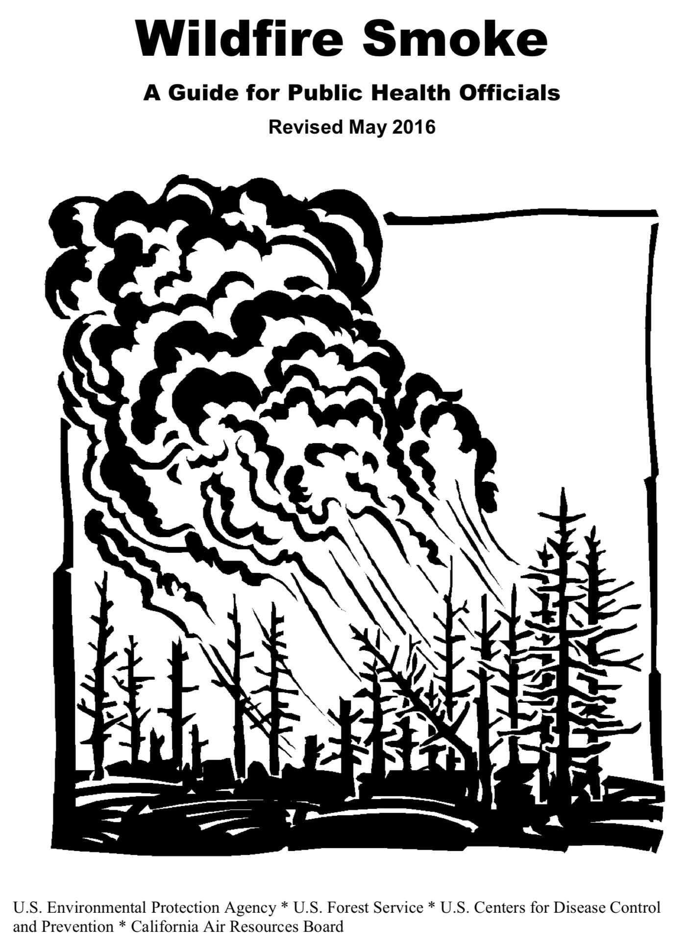 Яркая красочная раскраска «спасите лес от пожара»