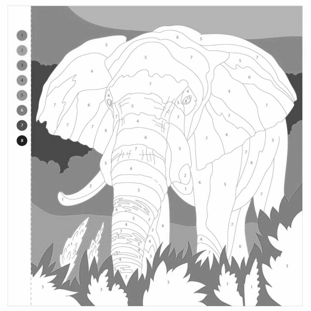 Colorful color quest by numbers