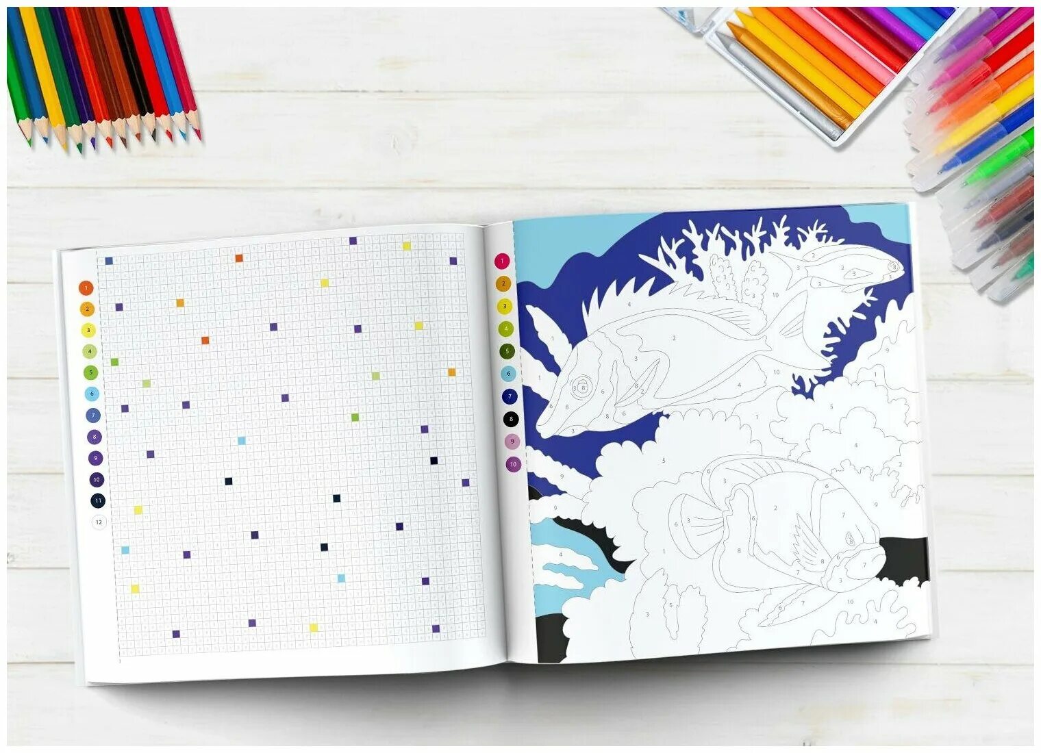 Color quest by numbers #12