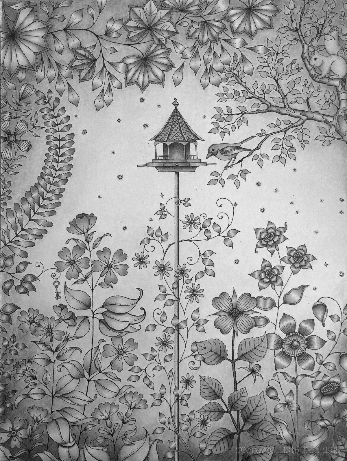Фото Мистическая раскраска joanna basford secret garden