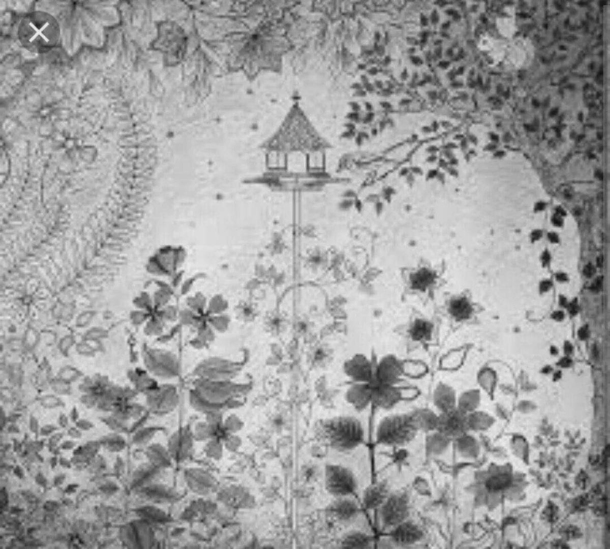 Фото Экзотическая раскраска джоанна басфорд тайный сад