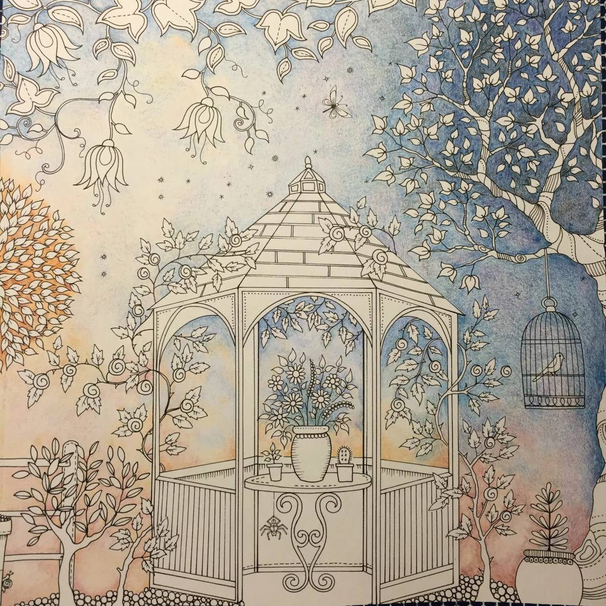 Фото Игривая раскраска джоанна басфорд тайный сад