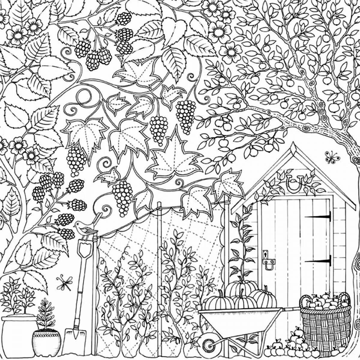 Фото Sublime coloring page joanna basford secret garden