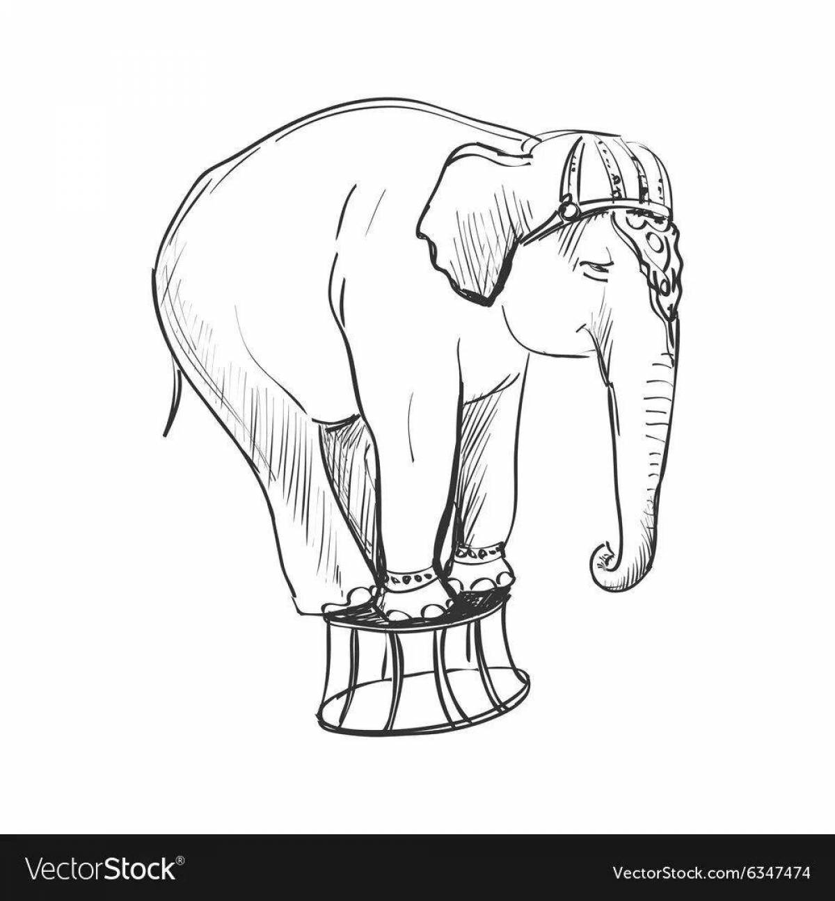 Beckoning elephant kuprin coloring