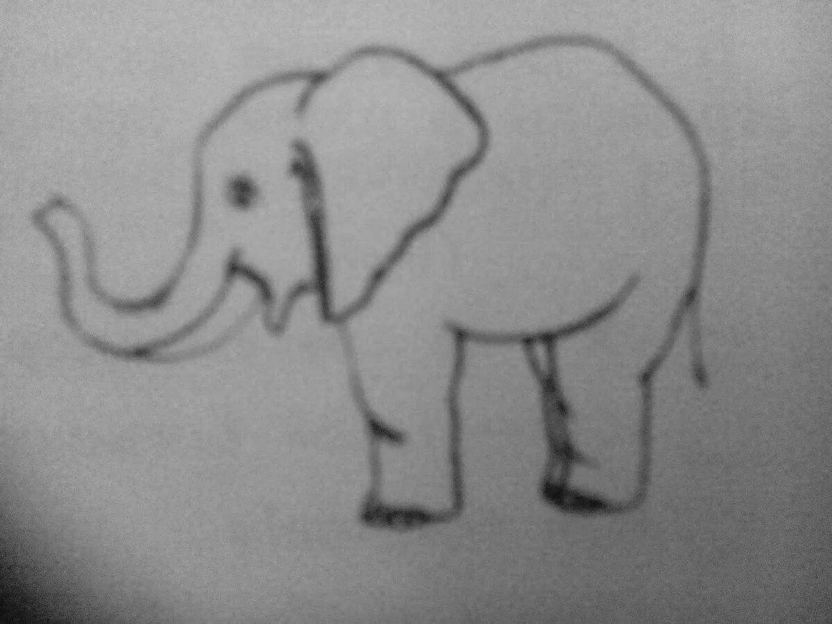 Coloring book luxury elephant kuprin