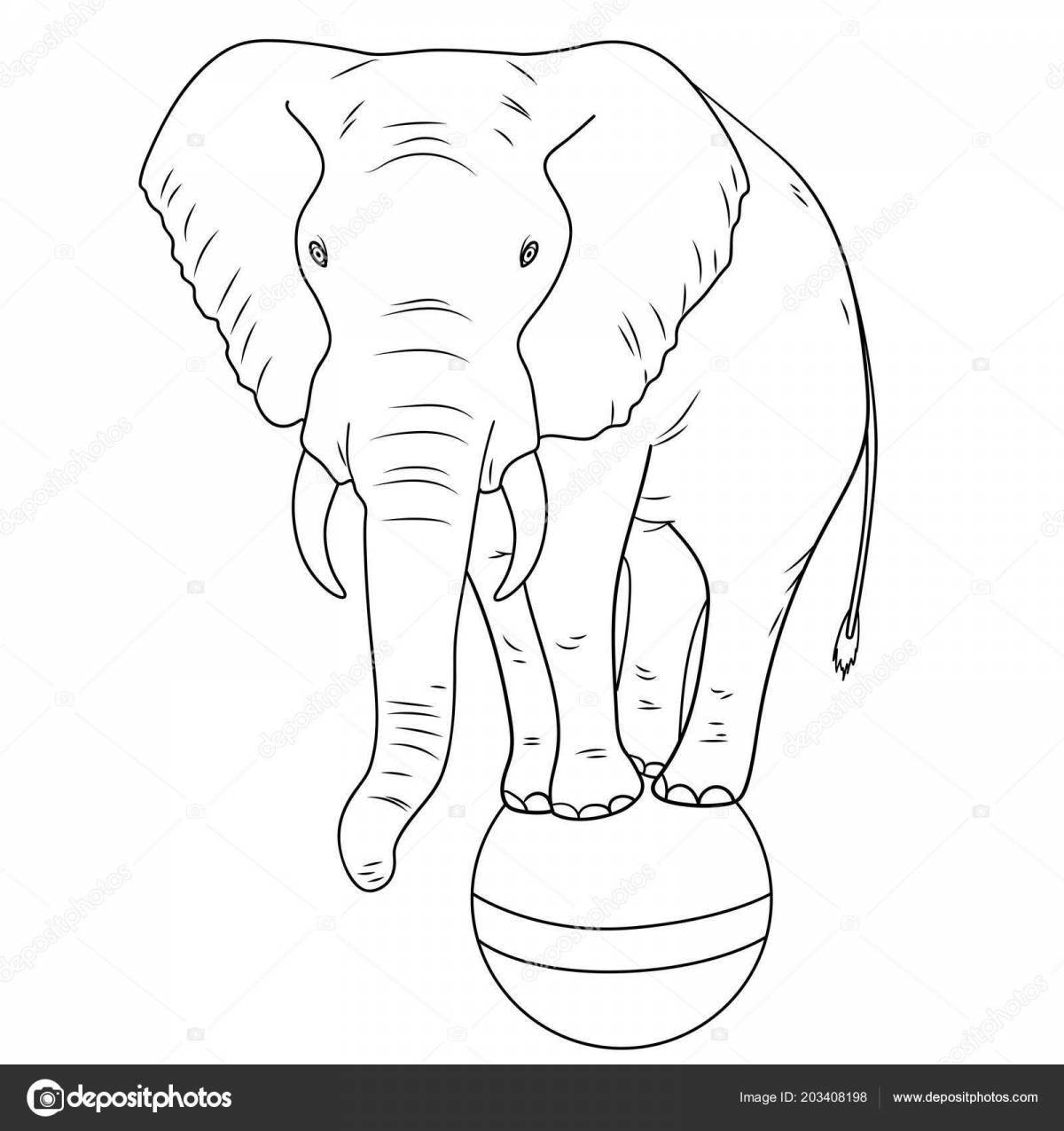 Coloring page elegant elephant kuprin