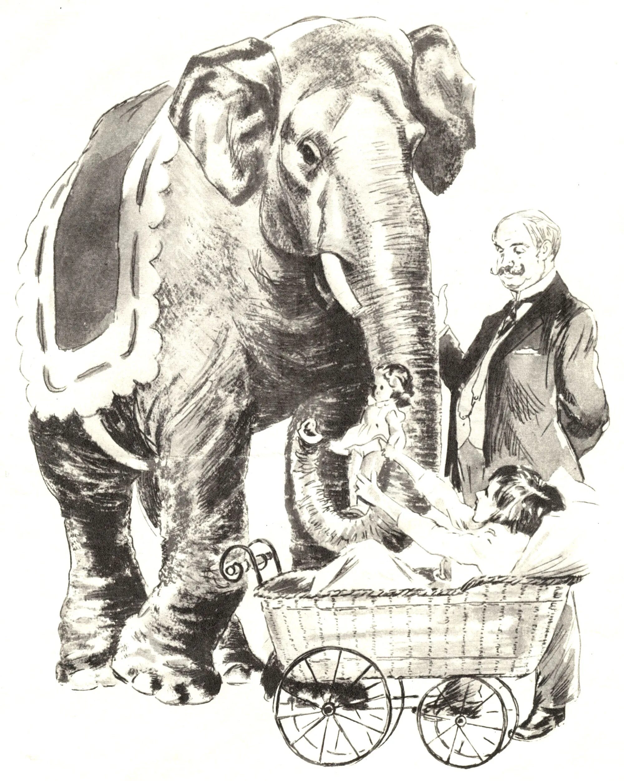 Привлекательный слон куприн раскраска