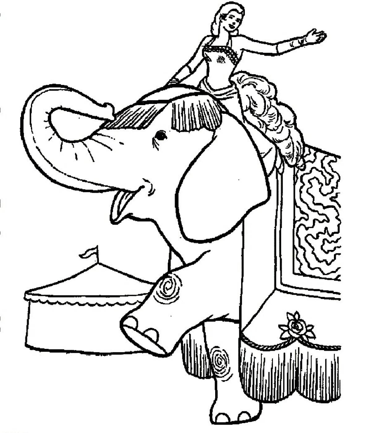 Photo To kuprin's elephant #1