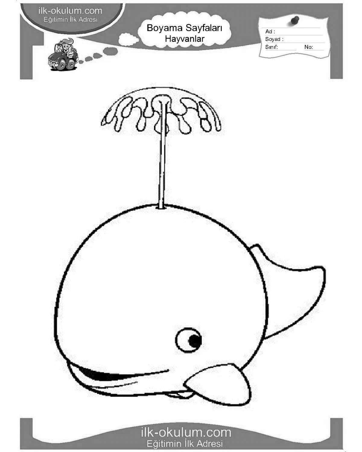 Elegant three whales in music coloring book