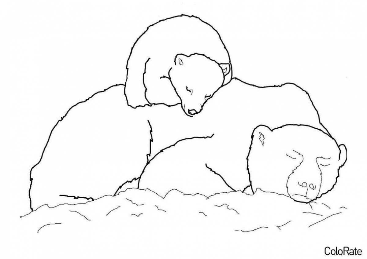 Мягкий белый медведь с детенышем раскраски