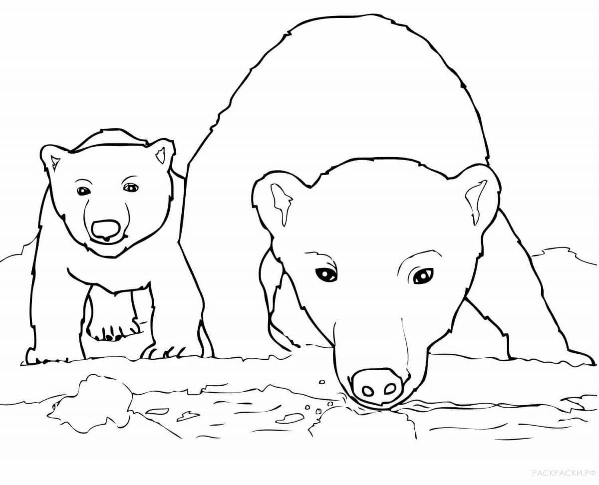 Раскраска причудливый белый медведь с детенышем