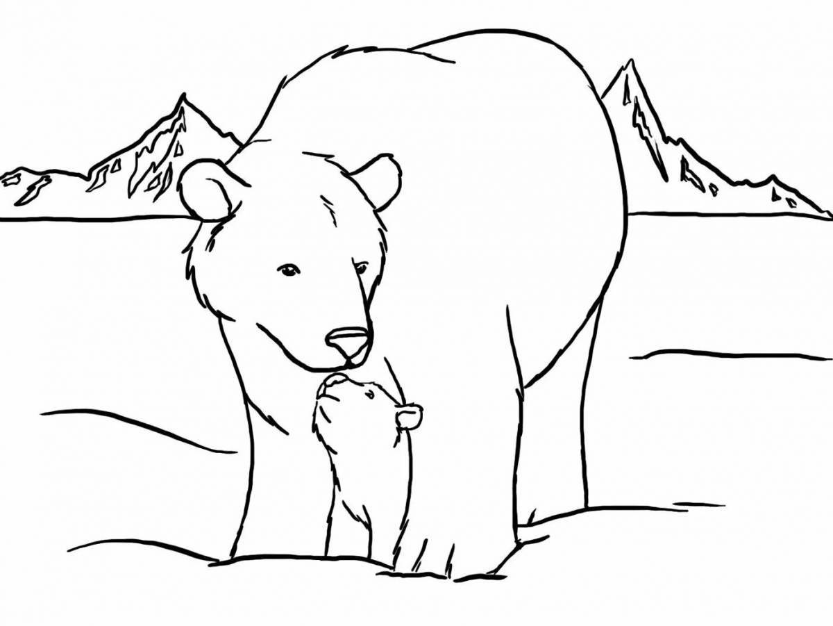 Раскраска «уютный белый медведь с детенышем»