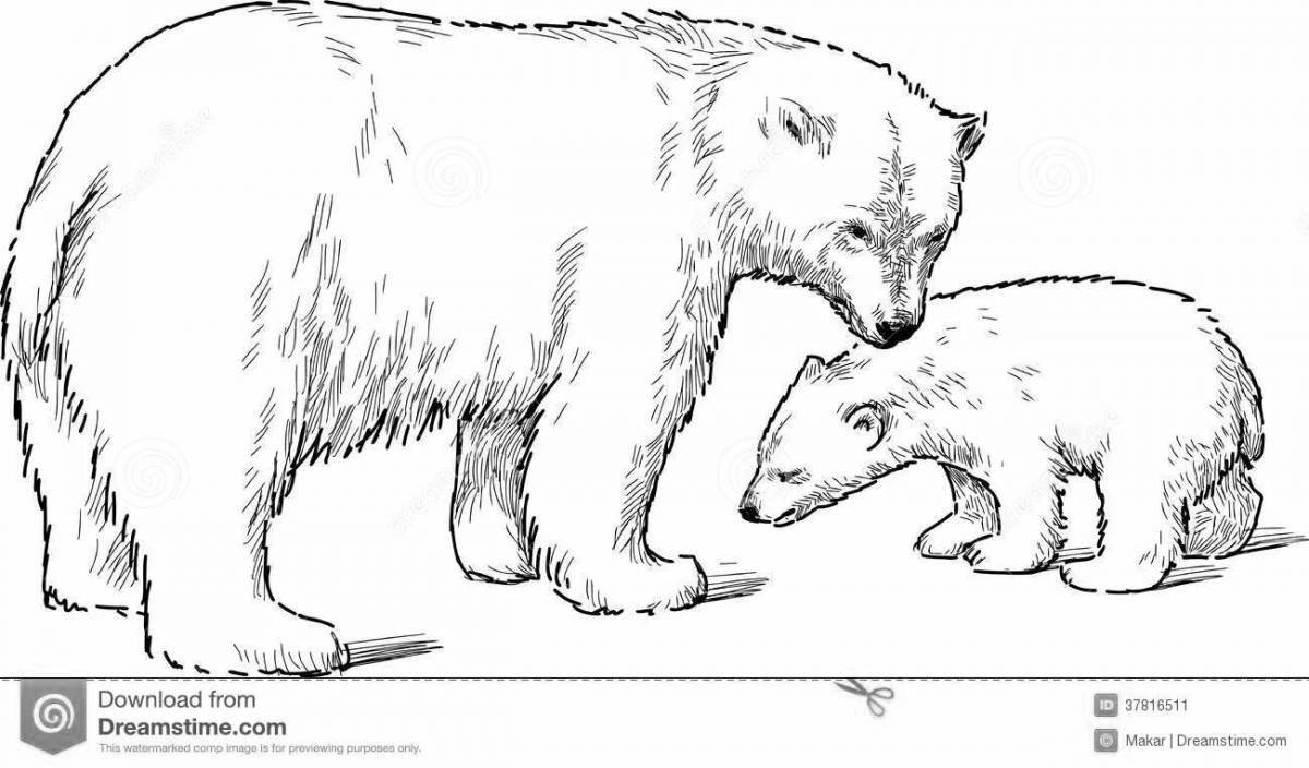 Loving look polar bear with cub coloring book