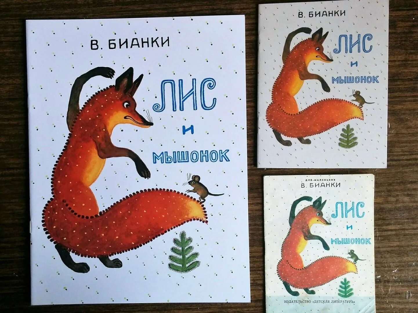 Bianca colorful fox and mouse coloring book