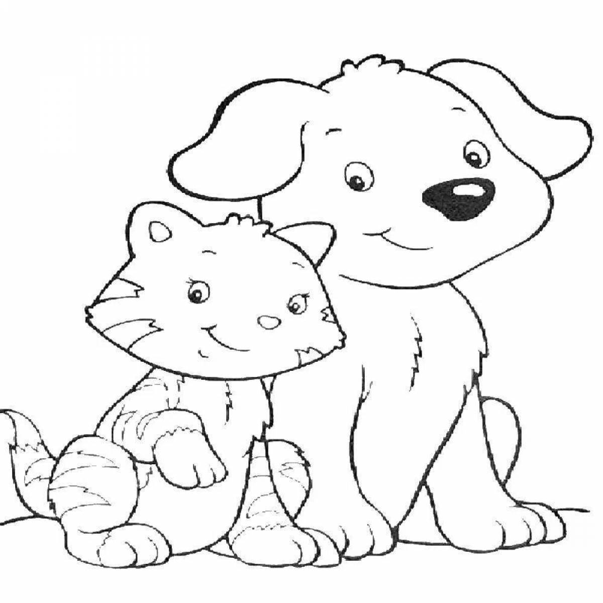 Colouring funny cute cats and dogs
