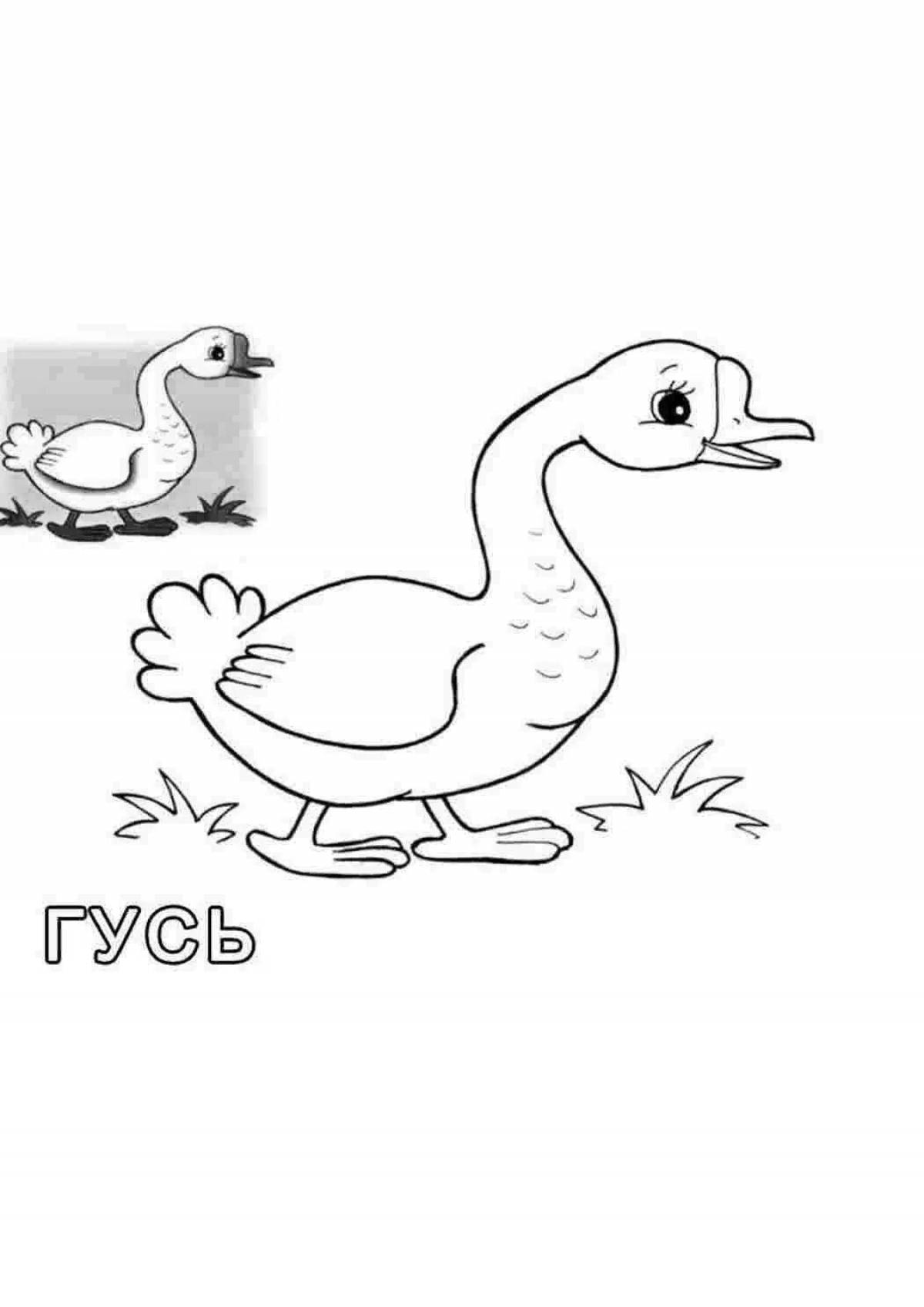 Adorable poultry coloring page