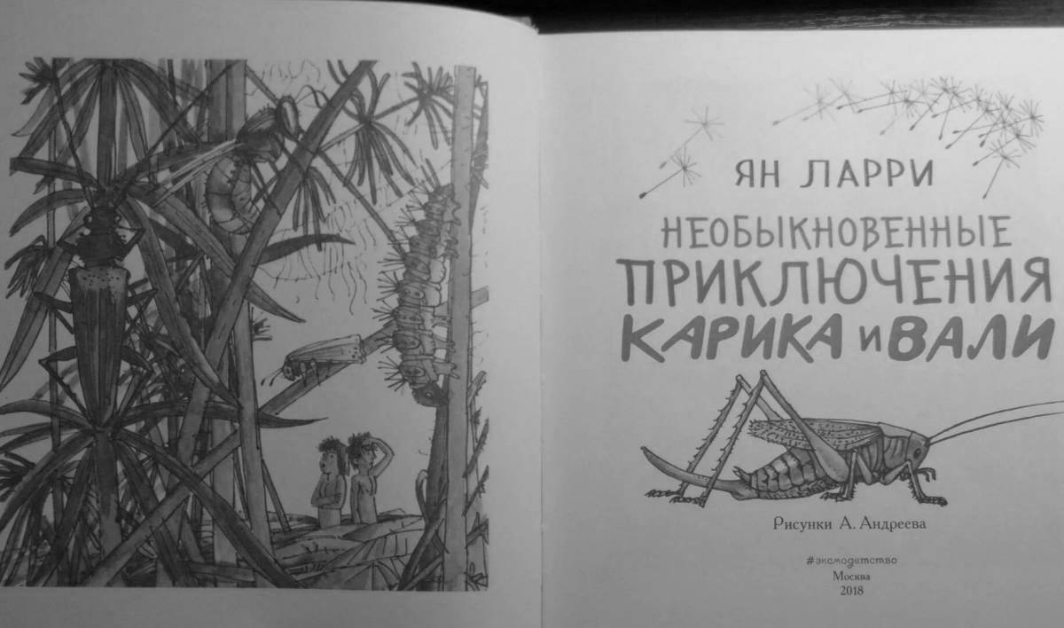 Photo Kariki and Wali's colorful adventures