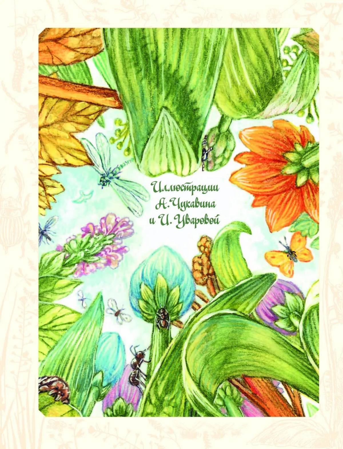 Photo Kariki and wali's grand adventure