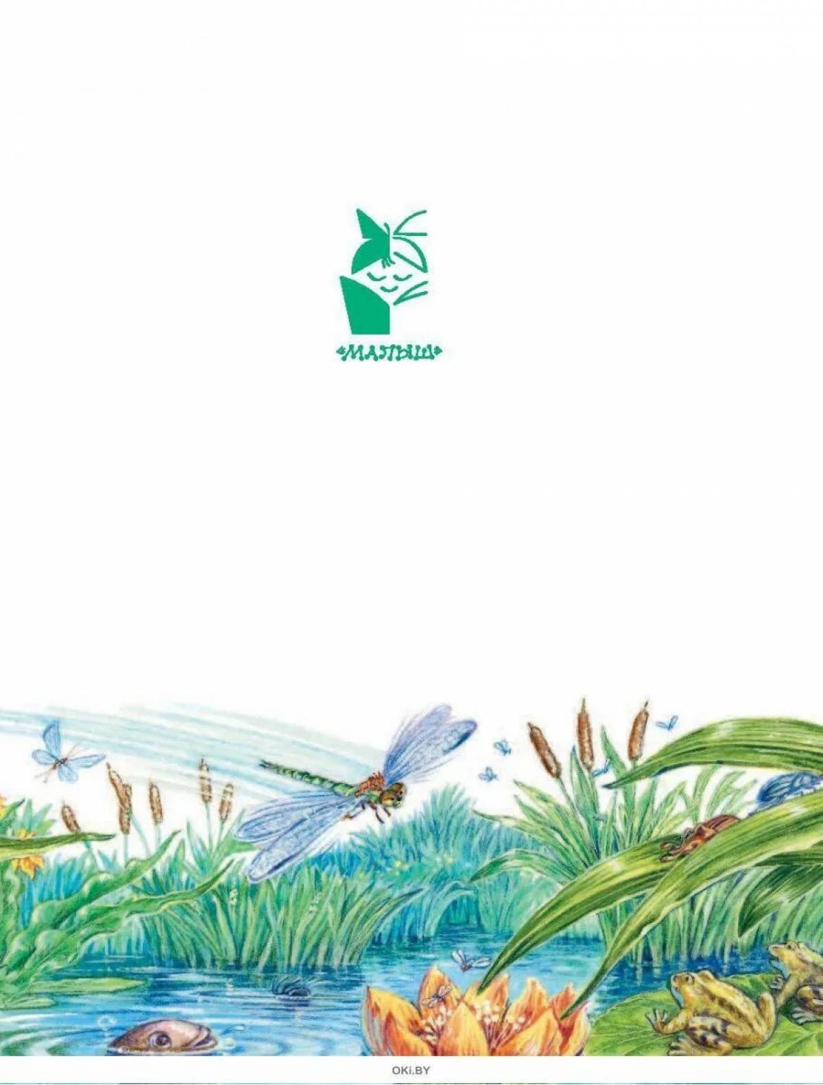 Photo Kariki and Wali's brilliant adventures