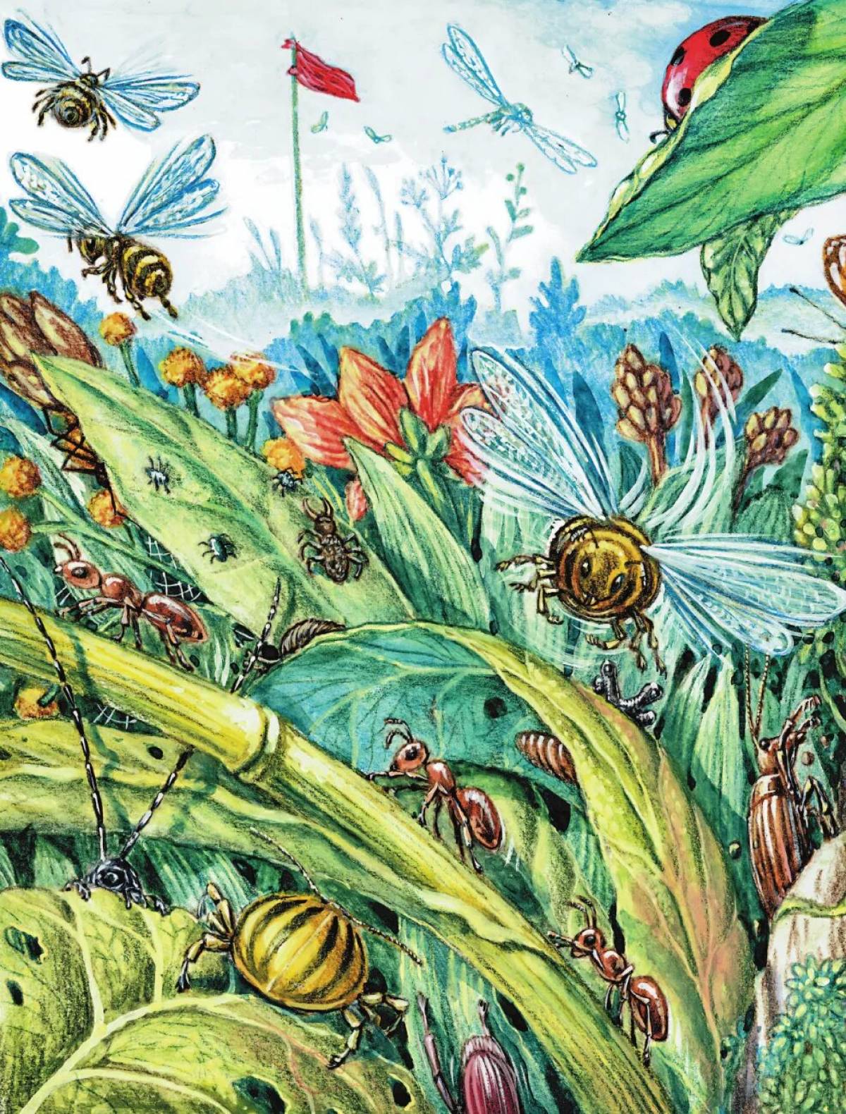 Photo Adventures of Karik and Wali #5