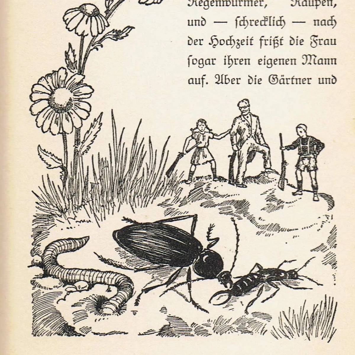 Photo The adventures of Karik and Wali #10