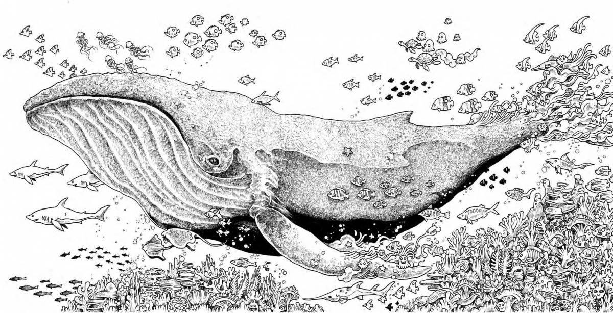 Яркое чудо рыба юдо кит