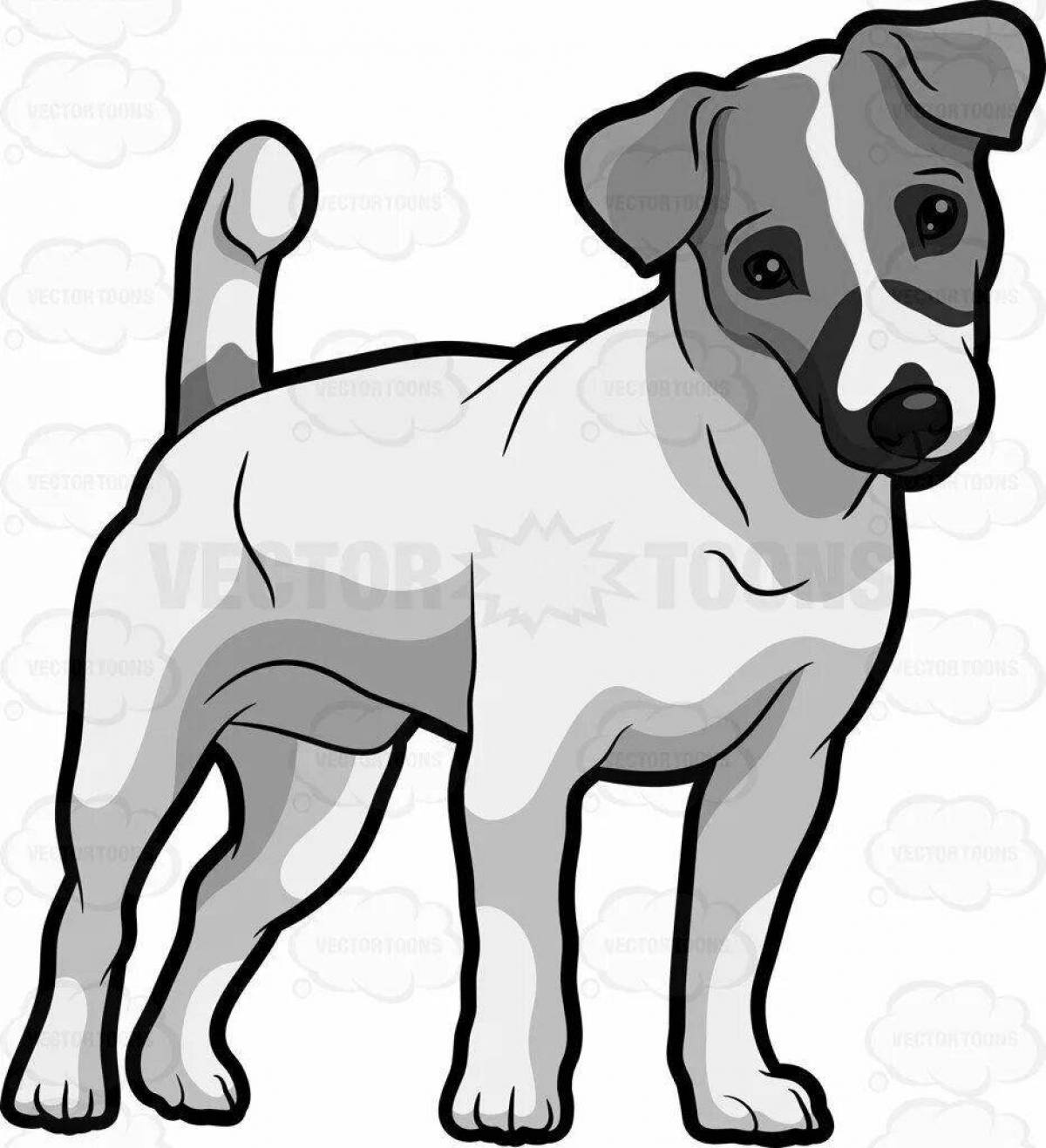 Jack Russell Terrier dog playful coloring book