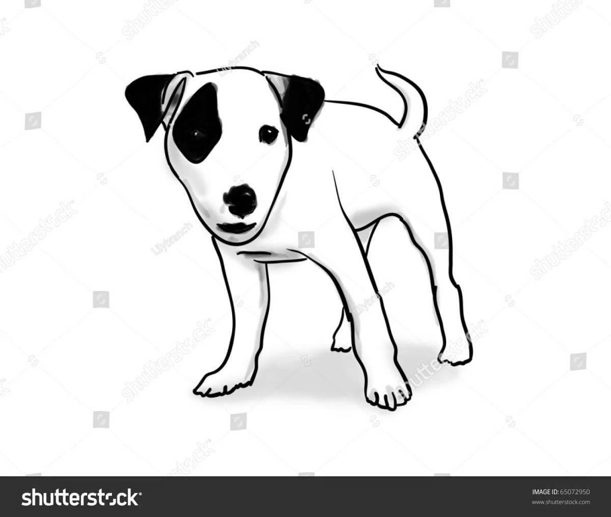 Loving coloring dog jack russell terrier