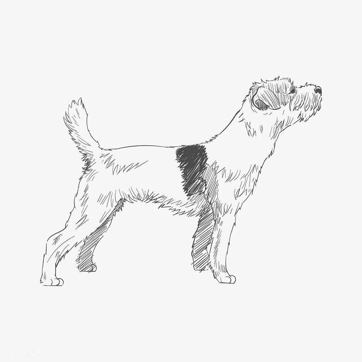 Cute jack russell terrier coloring book