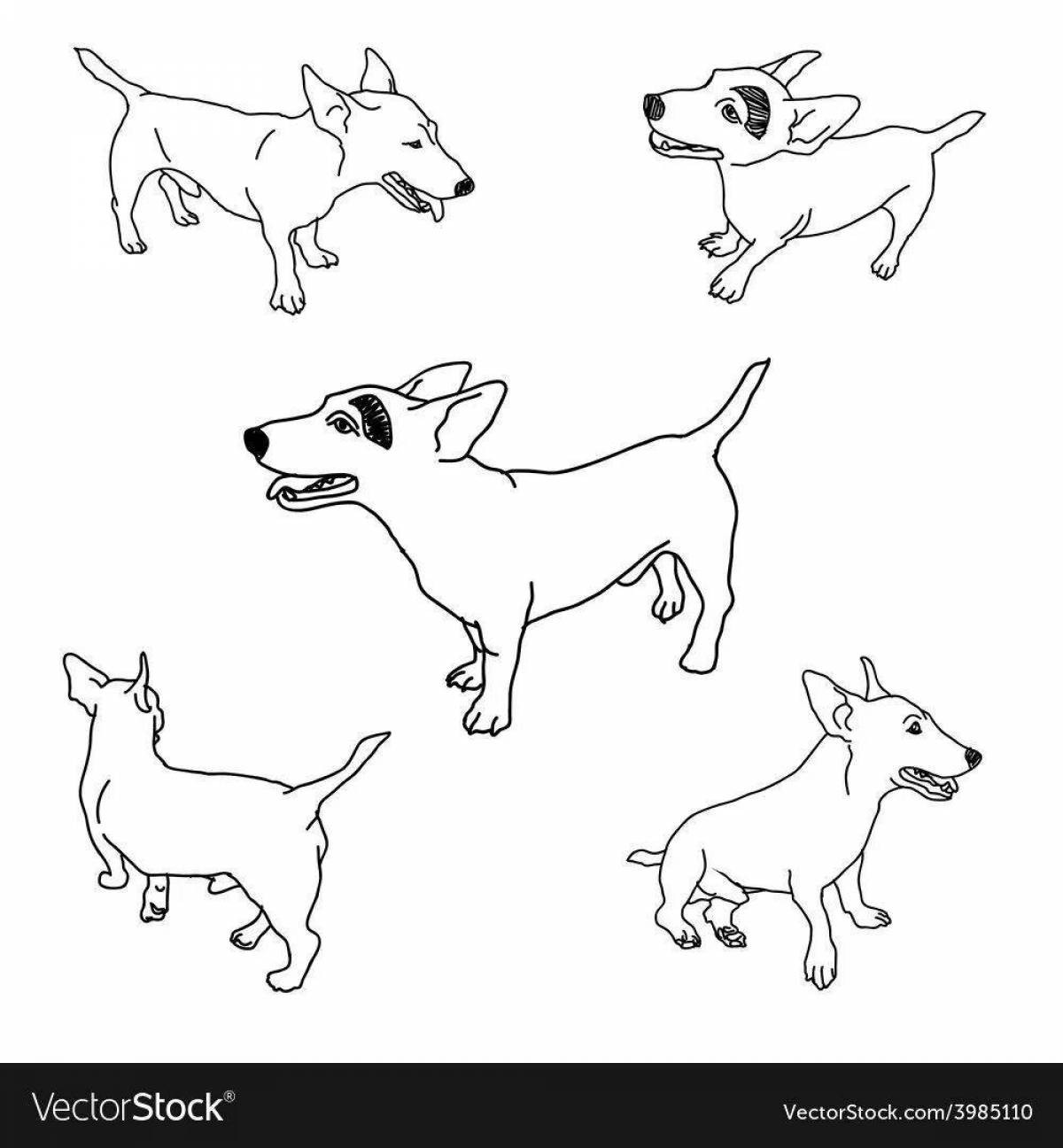 Smart coloring dog jack russell terrier