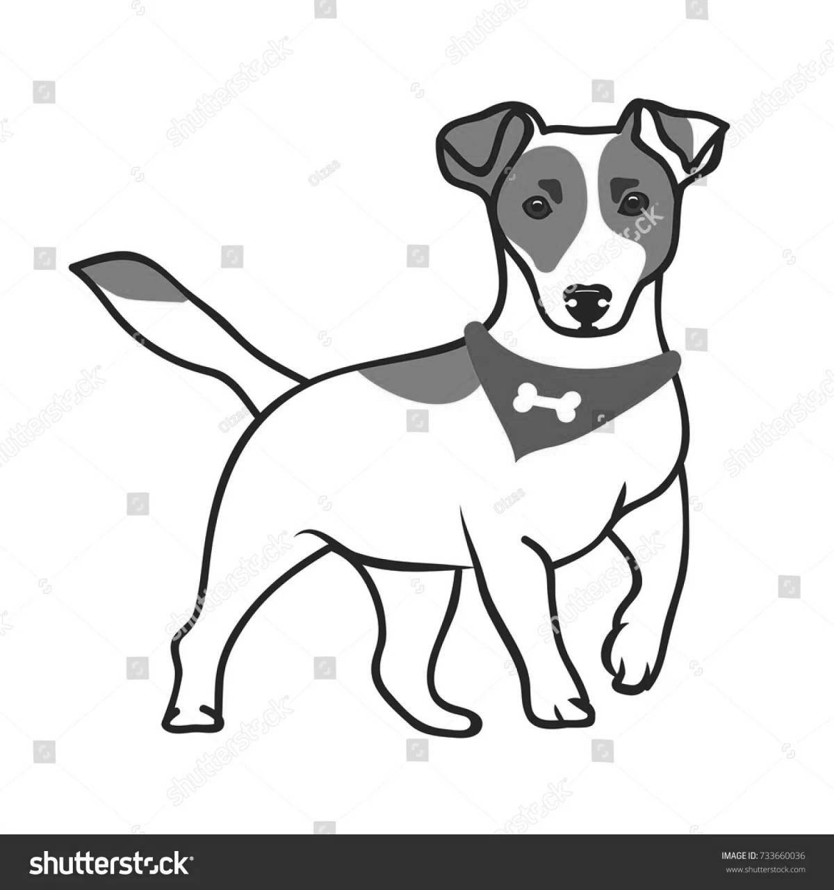 Intellectual coloring dog jack russell terrier