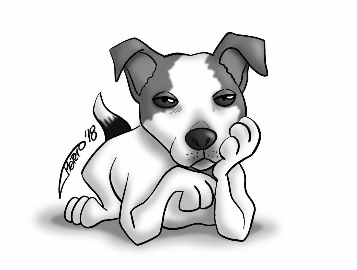 Affectionate coloring dog jack russell terrier
