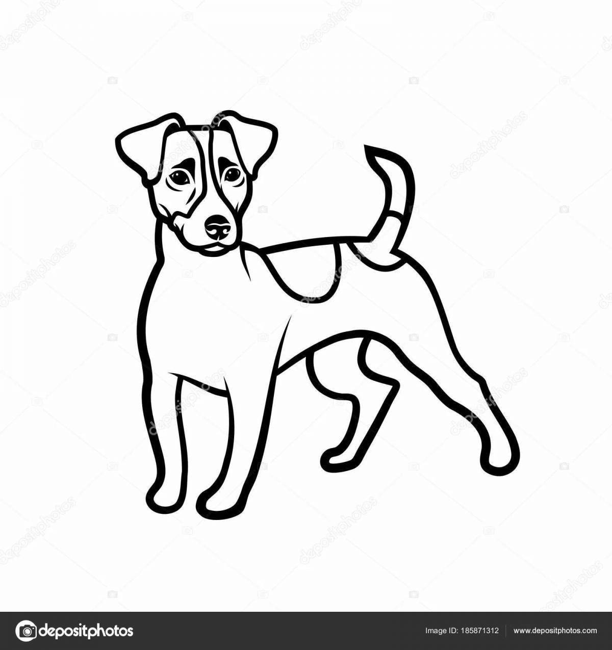 Jack russell terrier coloring book