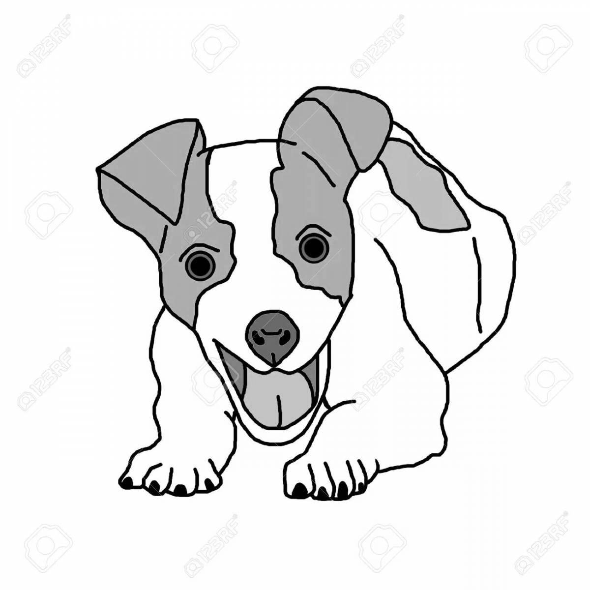 Outgoing Jack Russell Terrier coloring page