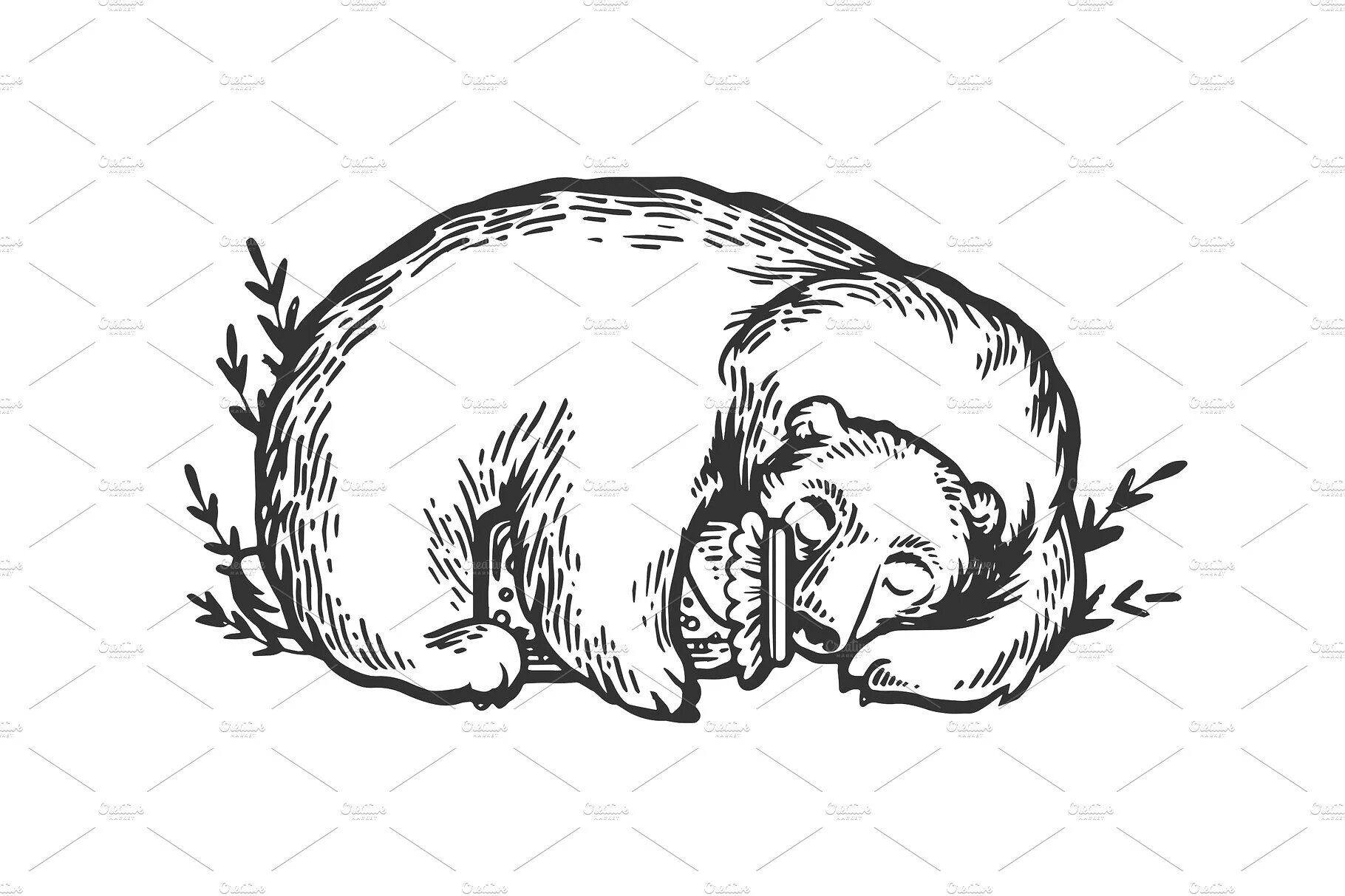 Grand coloring page: why do bears sleep in winter?